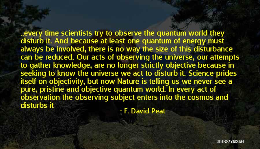 Comet The Frog Quotes By F. David Peat Comet The Frog Quotes By F. David Peat
