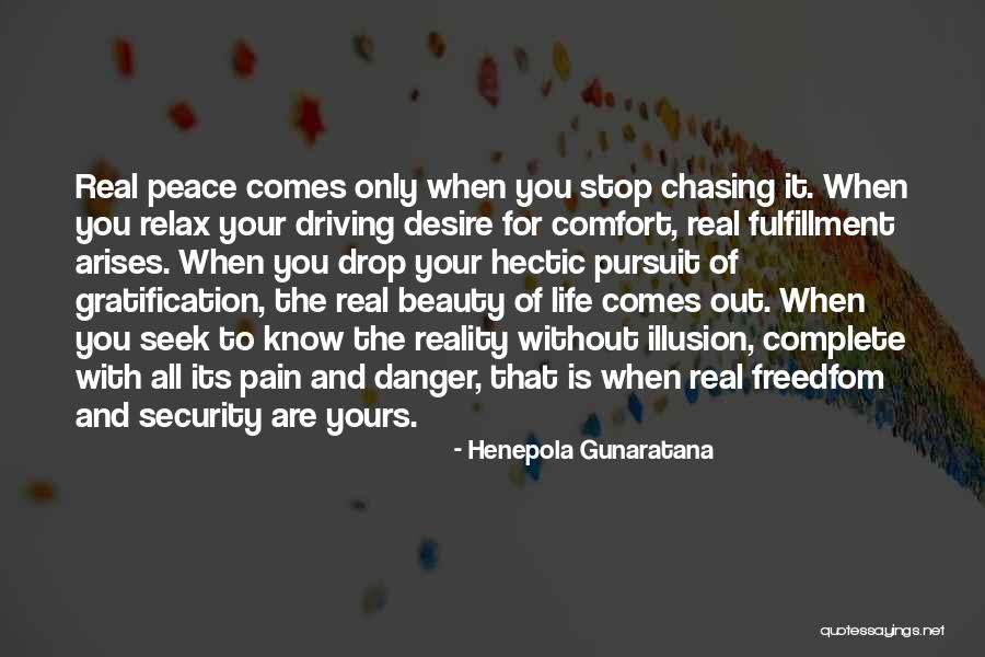 Comfort And Peace Quotes By Henepola Gunaratana