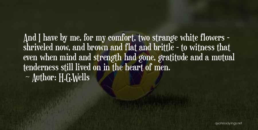 Comfort And Strength Quotes By H.G.Wells