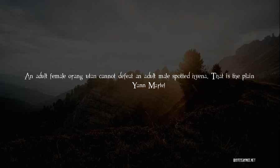 Comfort In Your Arms Quotes By Yann Martel