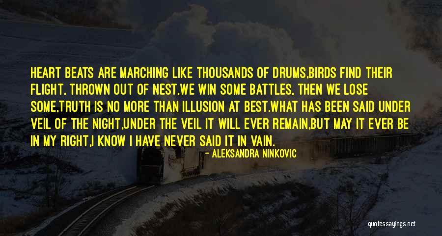 Comfort Lies Quotes By Aleksandra Ninkovic Comfort Lies Quotes By Aleksandra Ninkovic