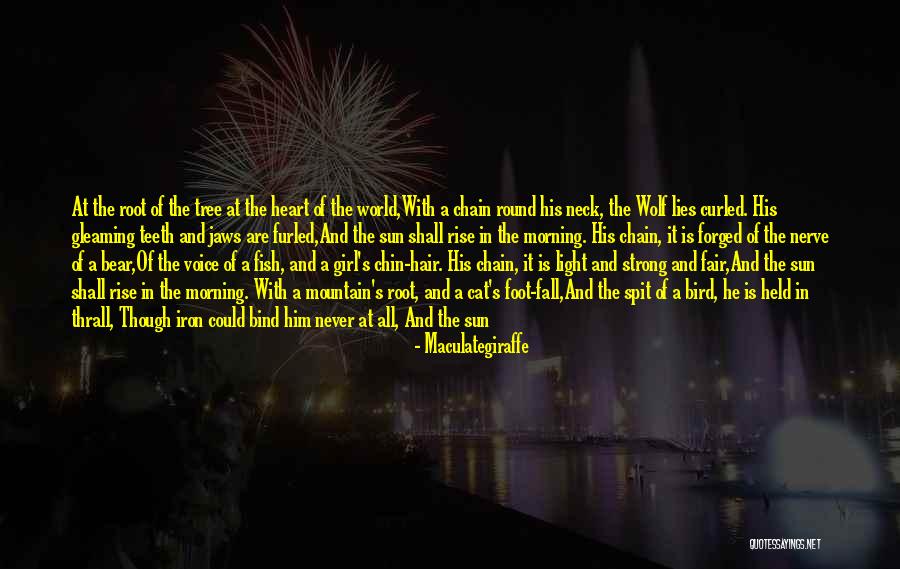 Comfort Lies Quotes By Maculategiraffe Comfort Lies Quotes By Maculategiraffe
