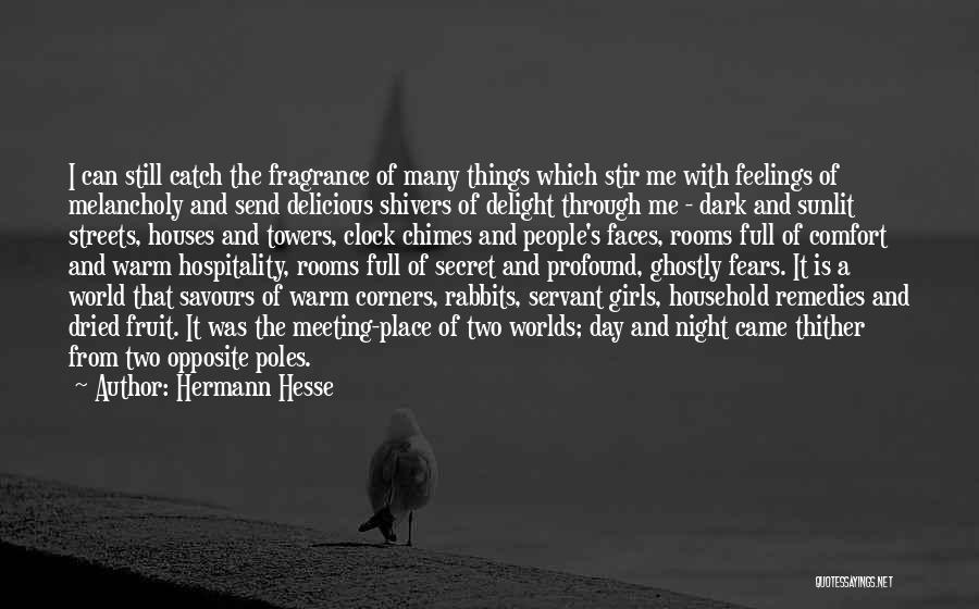 Comfort Rooms Quotes By Hermann Hesse