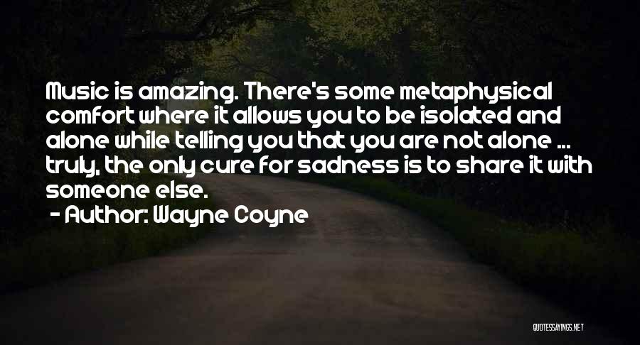 Comfort Sadness Quotes By Wayne Coyne