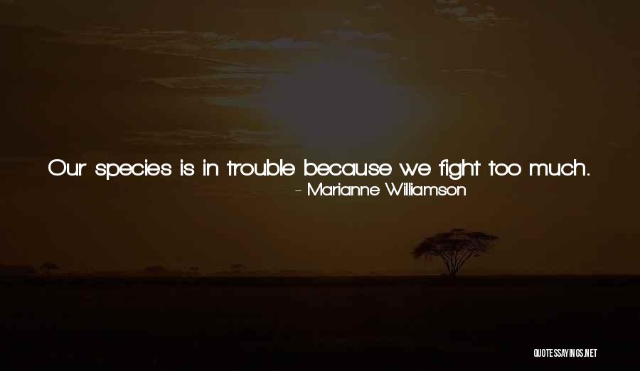 Comfort The Disturbed Quotes By Marianne Williamson