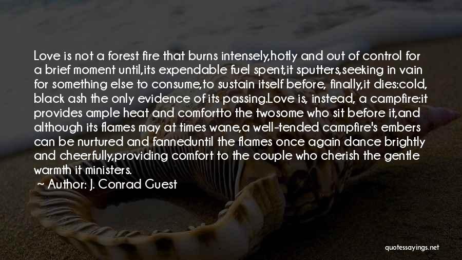 Comfort Warmth Quotes By J. Conrad Guest