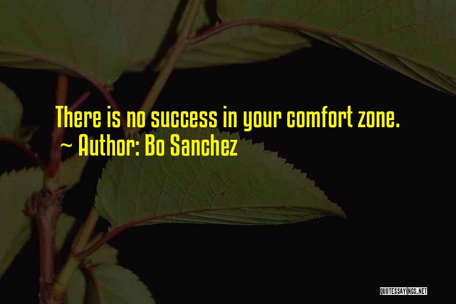 Comfort Zone And Success Quotes By Bo Sanchez