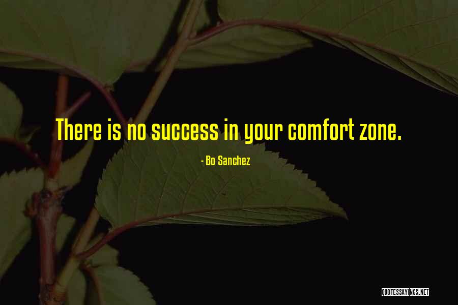 Comfort Zone And Success Quotes By Bo Sanchez