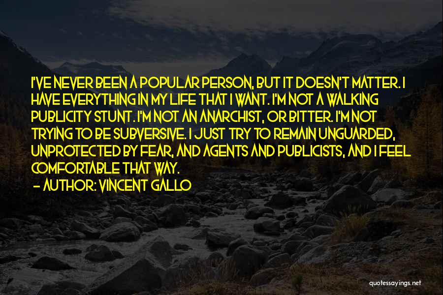 Comfortable Quotes By Vincent Gallo