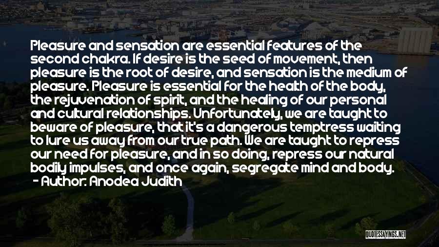 Comfortable Relationships Quotes By Anodea Judith