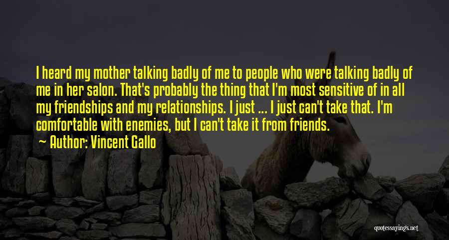 Comfortable Relationships Quotes By Vincent Gallo