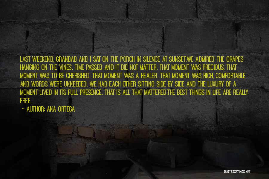 Comfortable Silence Quotes By Ana Ortega