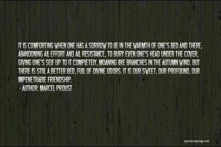 Comforting Friendship Quotes By Marcel Proust