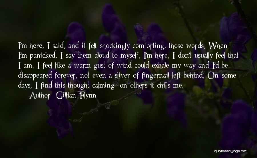 Comforting Words Quotes By Gillian Flynn