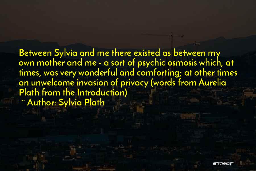 Comforting Words Quotes By Sylvia Plath