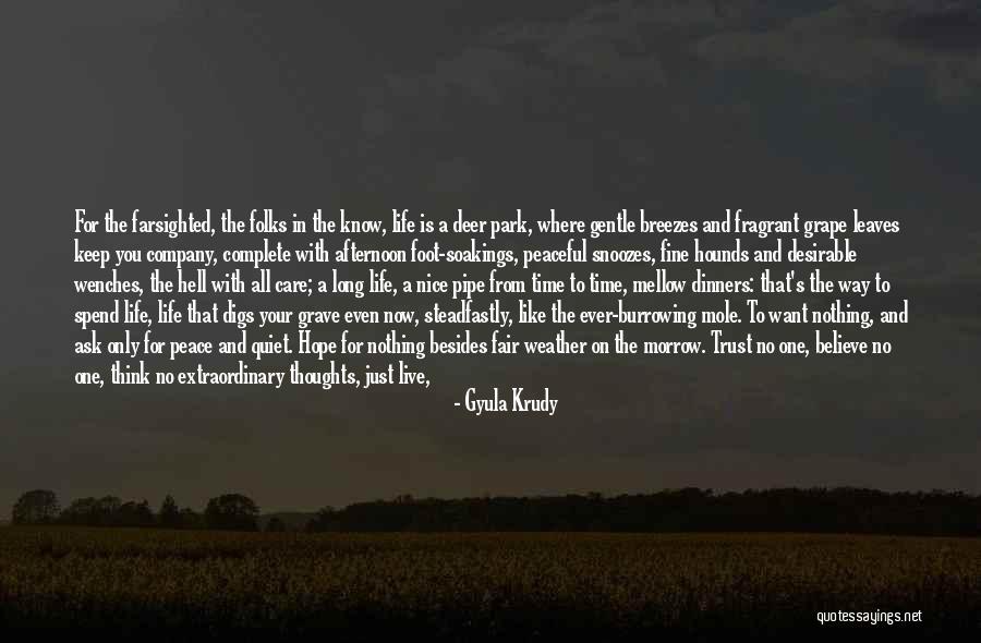 Comfy Night Quotes By Gyula Krudy