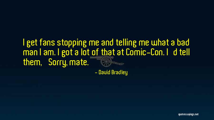 Comic Con Quotes By David Bradley