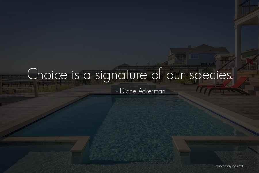 Comincia Quotes By Diane Ackerman Comincia Quotes By Diane Ackerman