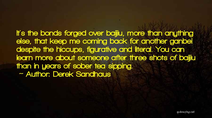 Coming After You Quotes By Derek Sandhaus