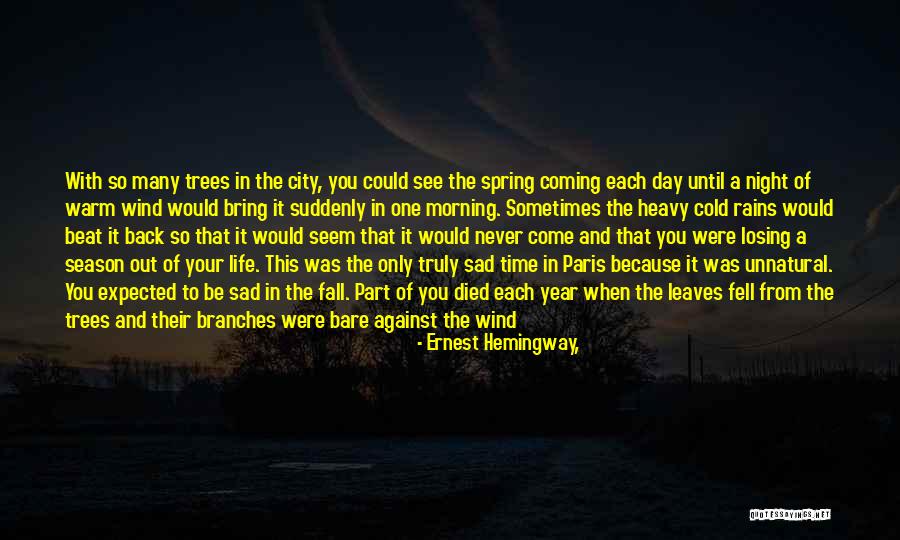 Coming After You Quotes By Ernest Hemingway,