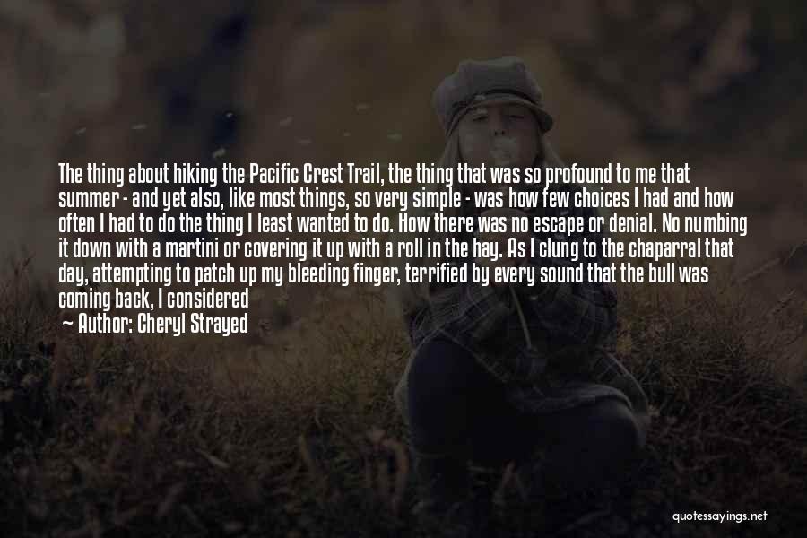 Coming Back Down Quotes By Cheryl Strayed