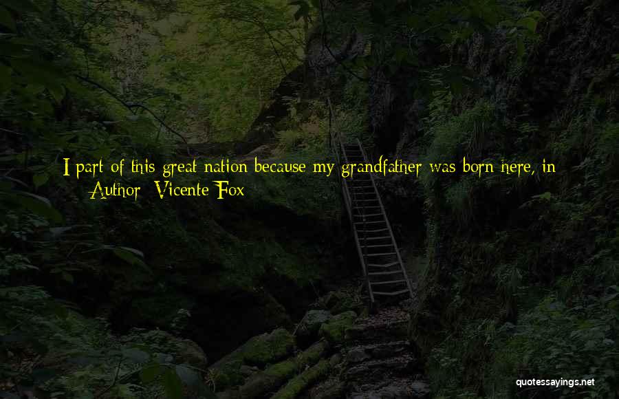 Coming Back Down Quotes By Vicente Fox