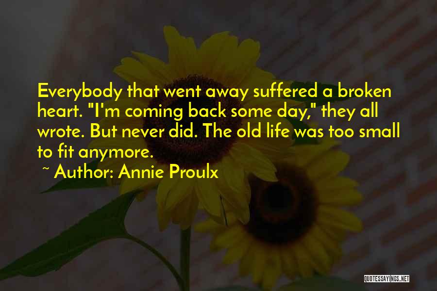 Coming Back Home Quotes By Annie Proulx