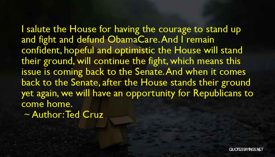 Coming Back Home Quotes By Ted Cruz