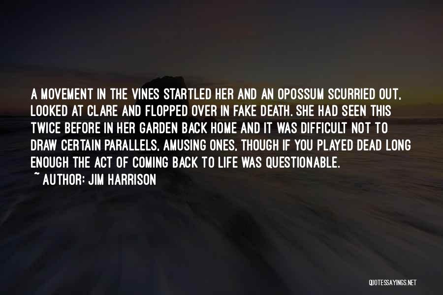 Coming Back Into My Life Quotes By Jim Harrison