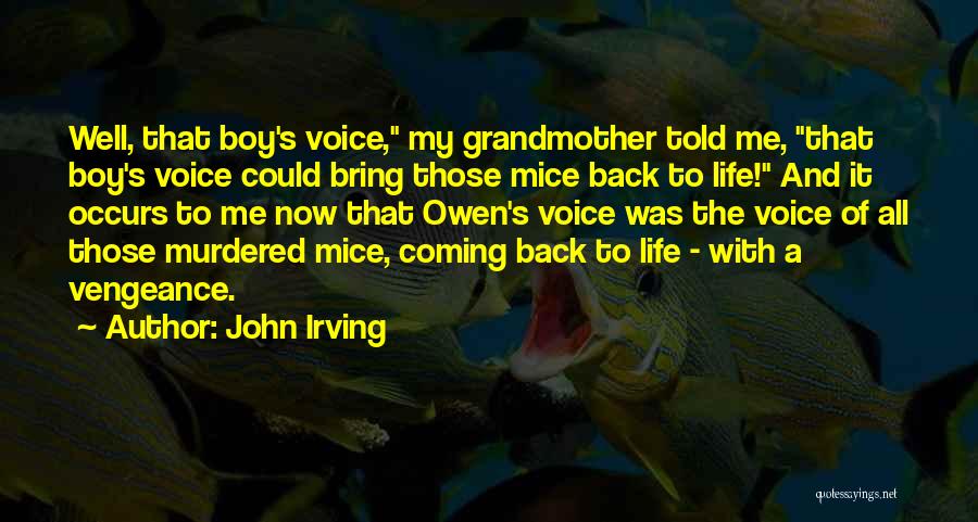 Coming Back Into My Life Quotes By John Irving