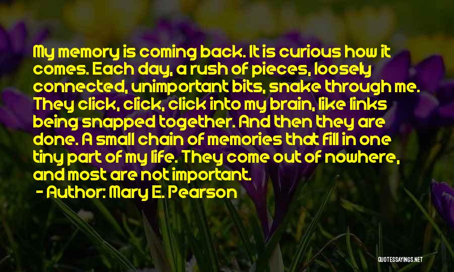 Coming Back Into My Life Quotes By Mary E. Pearson