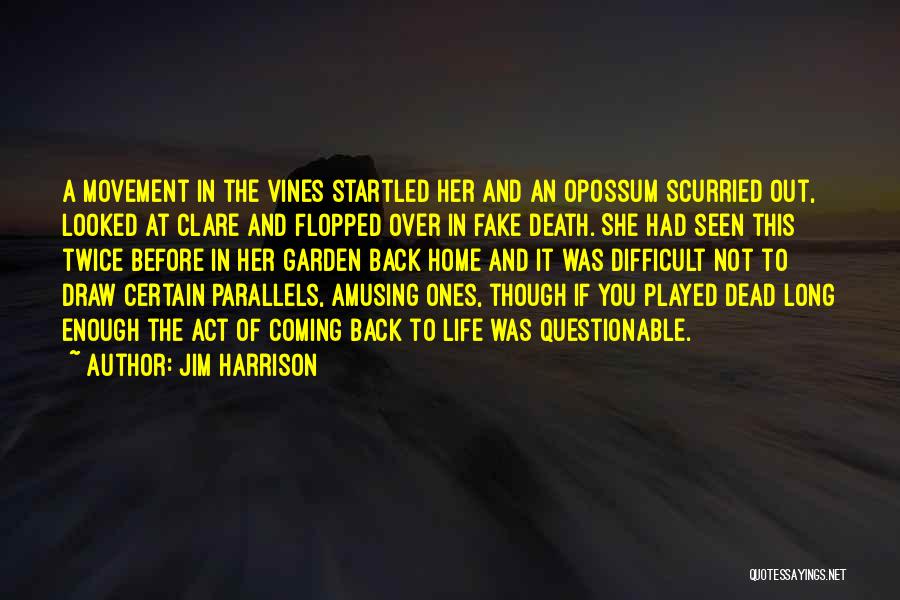 Coming Back Into Your Life Quotes By Jim Harrison