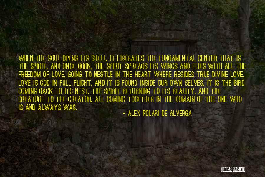 Coming Back To The One You Love Quotes By Alex Polari De Alverga