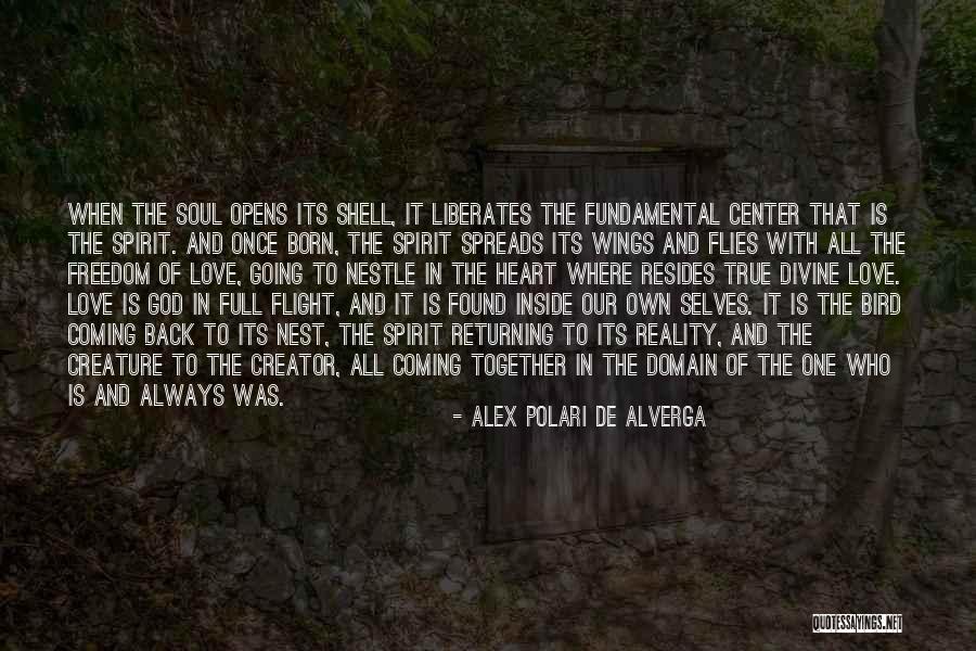 Coming Back Together Quotes By Alex Polari De Alverga