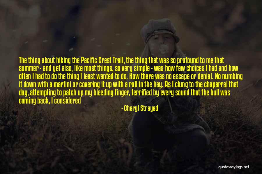 Coming Back Up Quotes By Cheryl Strayed Coming Back Up Quotes By Cheryl Strayed
