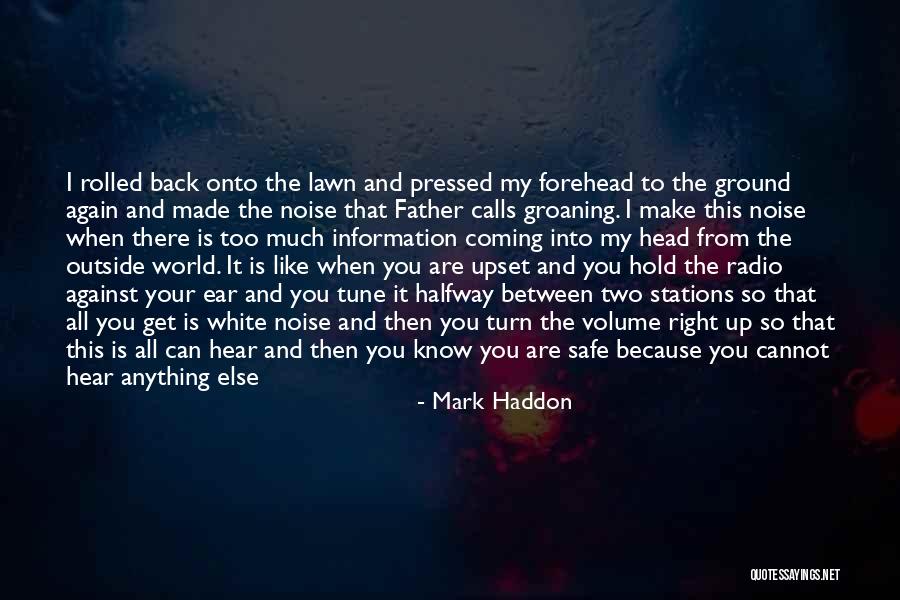 Coming Back Up Quotes By Mark Haddon Coming Back Up Quotes By Mark Haddon