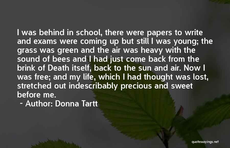 Coming From Behind Quotes By Donna Tartt