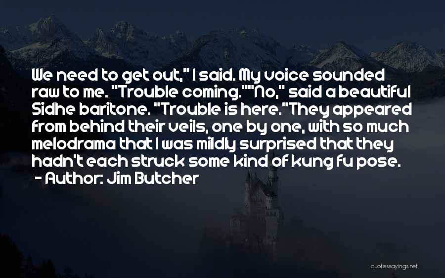 Coming From Behind Quotes By Jim Butcher