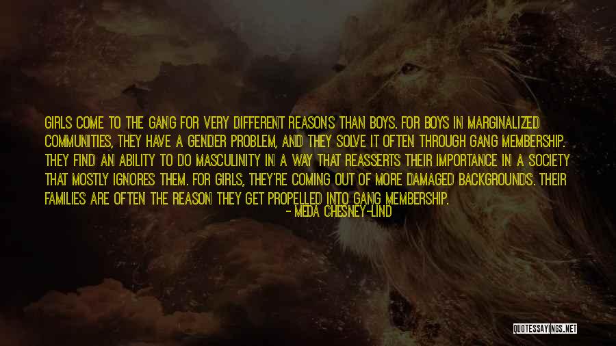 Coming From Different Backgrounds Quotes By Meda Chesney-Lind Coming From Different Backgrounds Quotes By Meda Chesney-Lind