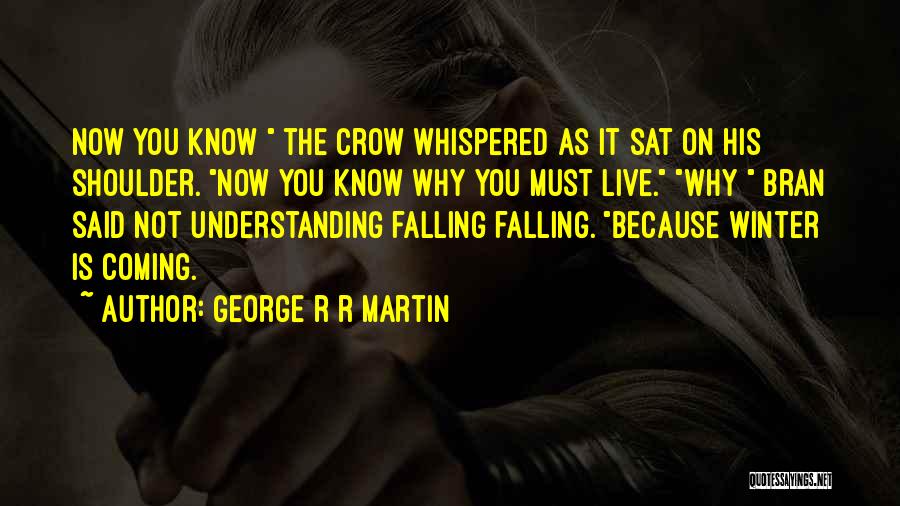 Coming From Nothing To Something Quotes By George R R Martin