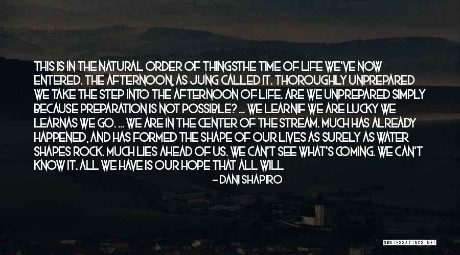 Coming In Between Quotes By Dani Shapiro Coming In Between Quotes By Dani Shapiro