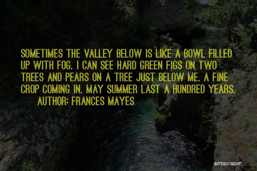 Coming Last Quotes By Frances Mayes