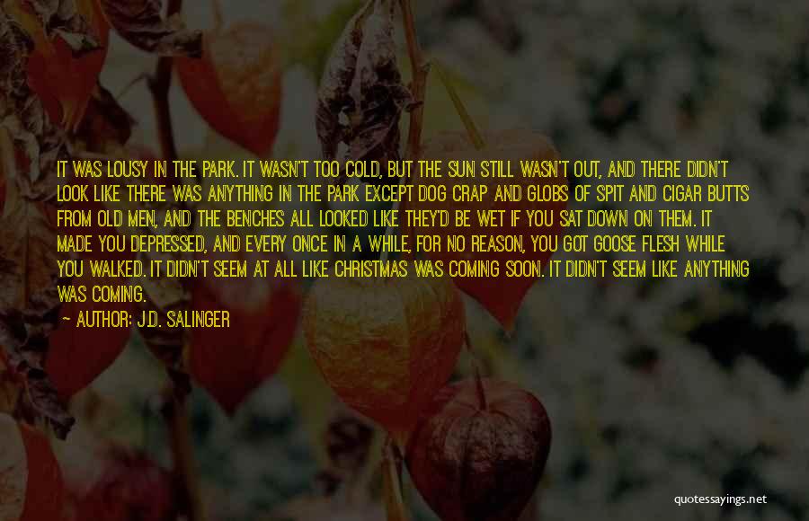 Coming Of Christmas Quotes By J.D. Salinger