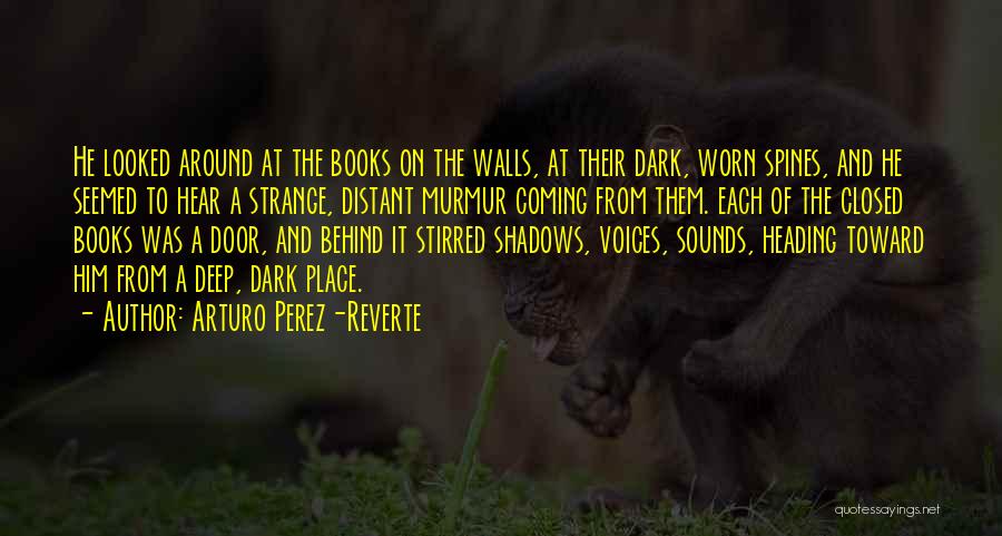 Coming Out Of A Dark Place Quotes By Arturo Perez-Reverte