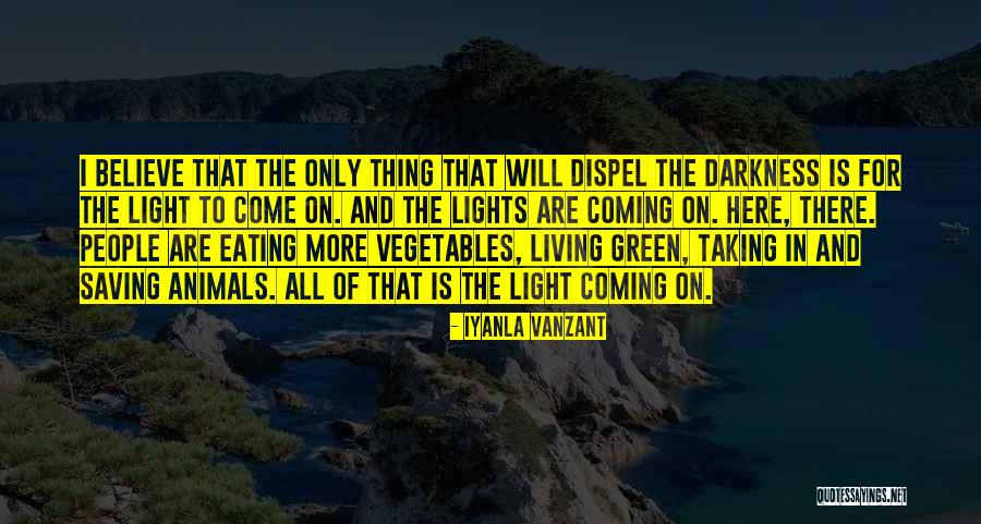 Coming Out Of The Darkness Into The Light Quotes By Iyanla Vanzant