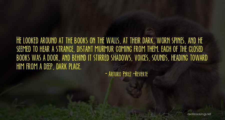 Coming Out Of The Shadows Quotes By Arturo Perez-Reverte