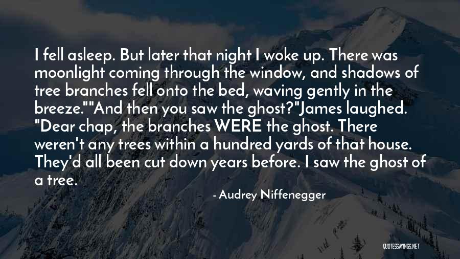 Coming Out Of The Shadows Quotes By Audrey Niffenegger