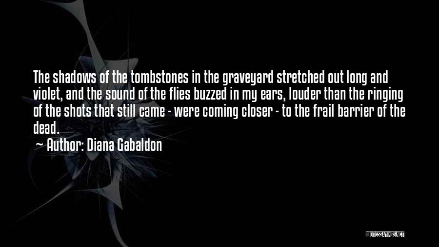 Coming Out Of The Shadows Quotes By Diana Gabaldon