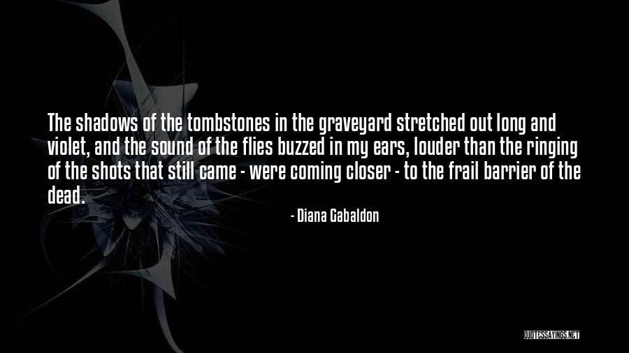 Coming Out Of The Shadows Quotes By Diana Gabaldon