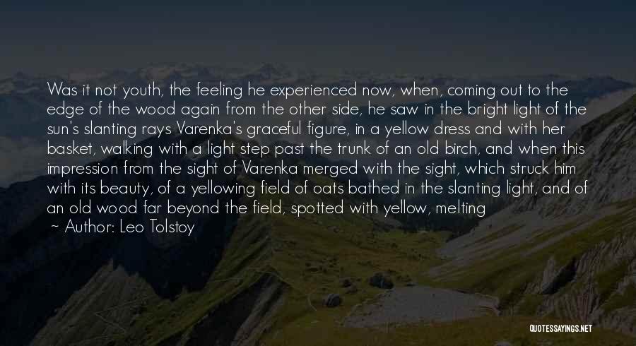 Coming Out The Other Side Quotes By Leo Tolstoy